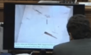 close up of entrance to bathroom floor