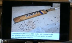 cricket bat spatter and cartridge on right