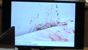 toilet seat close up