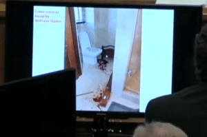 view in to the toilet showing magazine rack 2