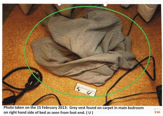 Oscar grey shirt on bedroom floor