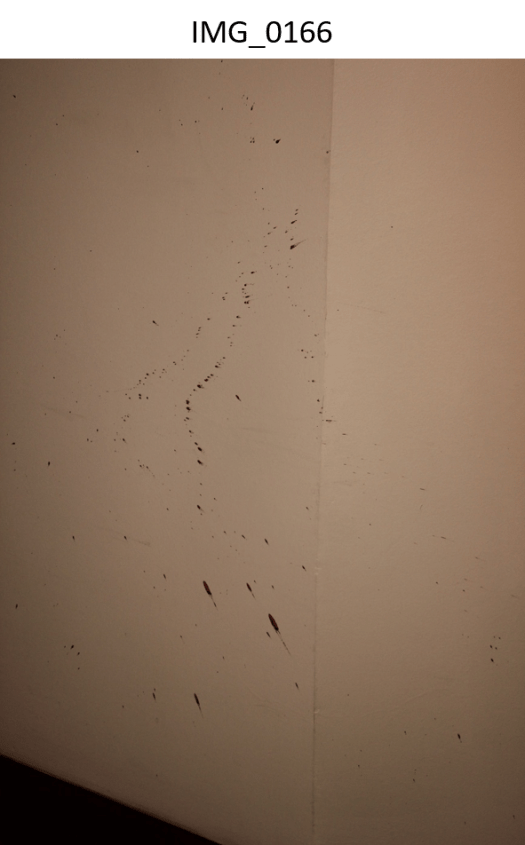 Spatter on wall next to spare bedroom #2