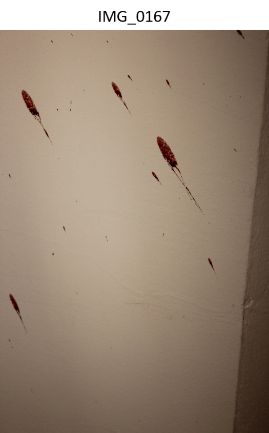 Spatter on wall upstairs