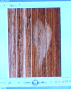 test bat mark on frame