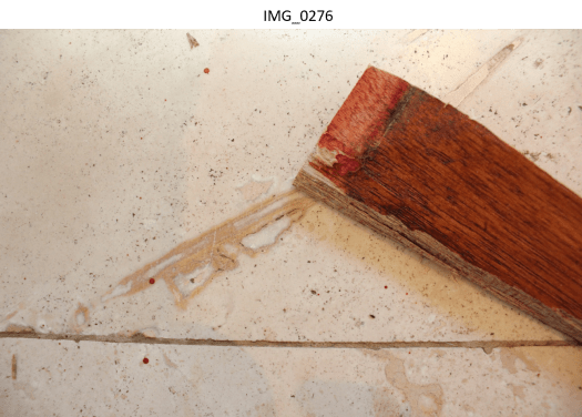 Wood panel with blood