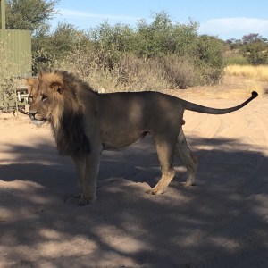 2015-11-27 16.55.00-1