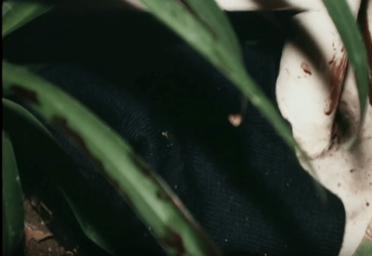 Screenshot 2016-04-09 20.14.23