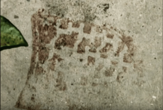 Screenshot 2016-04-09 20.14.58