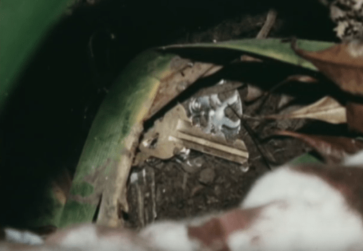 Screenshot 2016-04-09 20.21.25