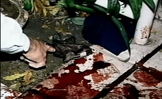 Screenshot 2016-04-10 10.10.45